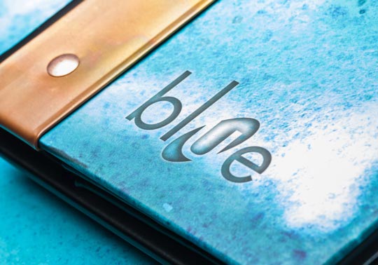 blue grill house menu featuring prime steaks, chops and seafood